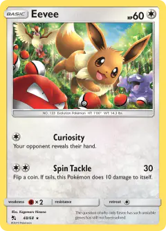 Eevee card (Hidden Fates 48) with Pidgey in the artwork